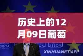 葡萄牙语视频实时翻译之旅，探寻历史与自然美景的艺术心灵之旅