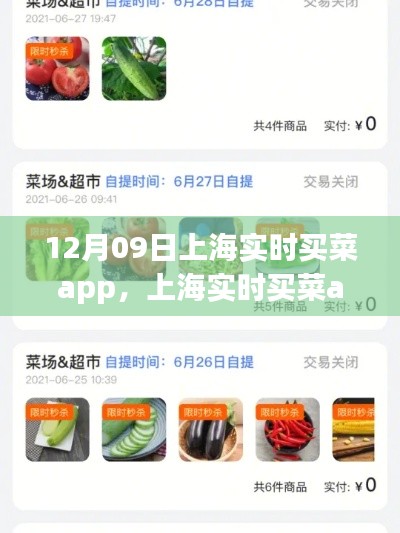 上海实时买菜app使用指南,从初学者到进阶用户的全方位指南(12月09日版)