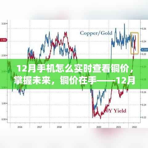 新闻中心 第138页