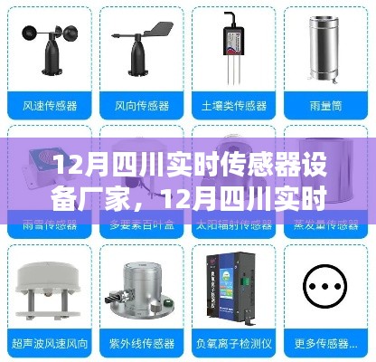 12月四川实时传感器设备厂家产品全面评测与介绍,专业解读传感器技术趋势