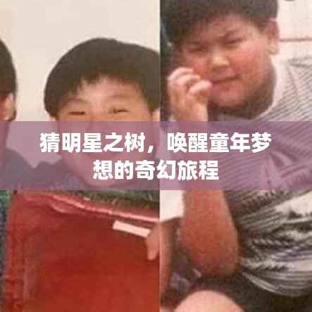 猜明星之树,唤醒童年梦想的奇幻旅程