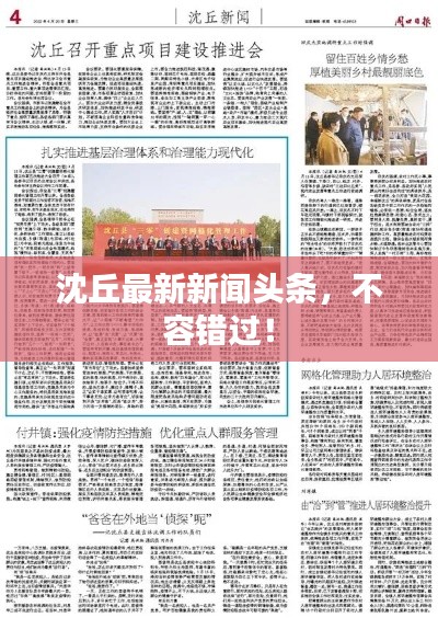 沈丘最新新闻头条，不容错过！