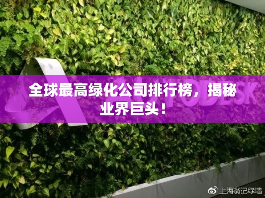 后会难期 第3页