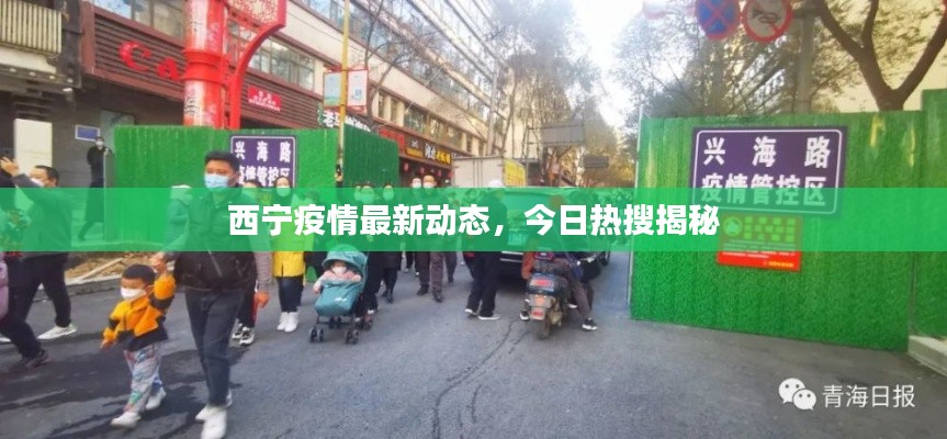 西宁疫情最新动态,今日热搜揭秘