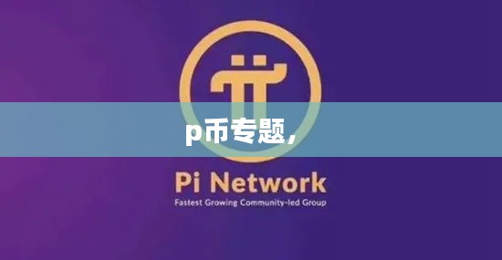 p币专题,
