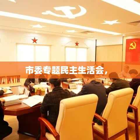 市委专题民主生活会， 