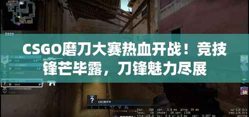 CSGO磨刀大赛热血开战!竞技锋芒毕露,刀锋魅力尽展