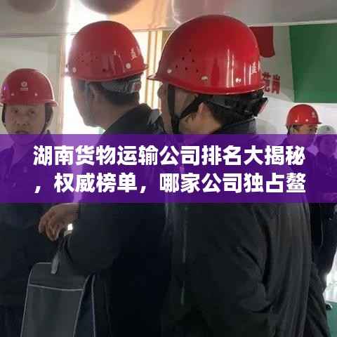 湖南货物运输公司排名大揭秘，权威榜单，哪家公司独占鳌头？