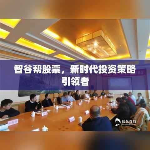 智谷帮股票,新时代投资策略引领者