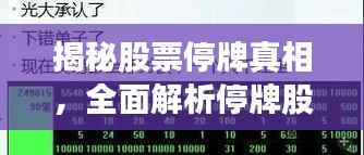 揭秘股票停牌真相，全面解析停牌股票影响及查询攻略