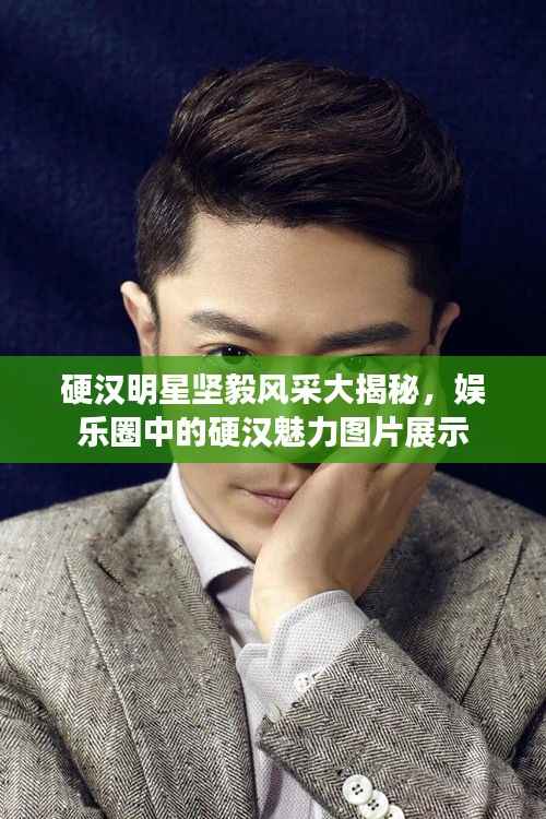 硬汉明星坚毅风采大揭秘,娱乐圈中的硬汉魅力图片展示