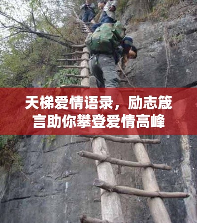 天梯爱情语录,励志箴言助你攀登爱情高峰