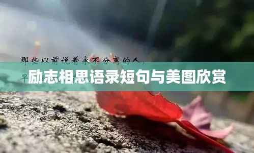 励志相思语录短句与美图欣赏