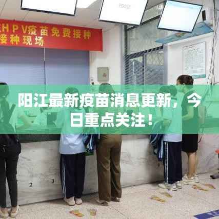 阳江最新疫苗消息更新，今日重点关注！