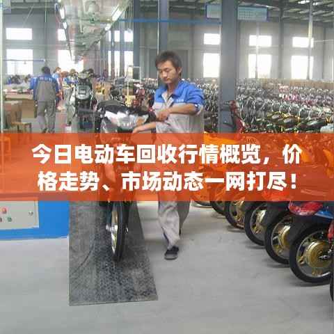 公司概况 第77页