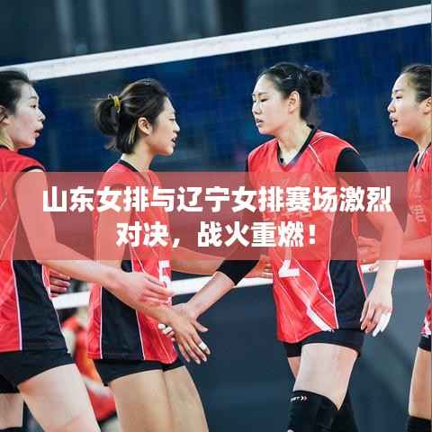 山东女排与辽宁女排赛场激烈对决，战火重燃！