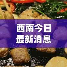 西南今日最新消息速递