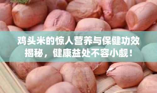 鸡头米的惊人营养与保健功效揭秘,健康益处不容小觑!