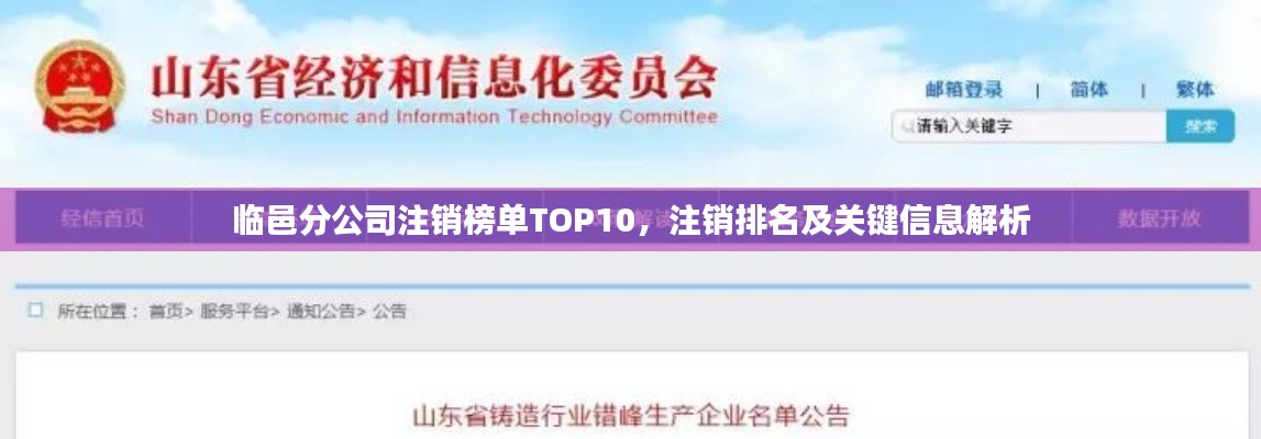 临邑分公司注销榜单TOP10,注销排名及关键信息解析