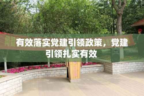 有效落实党建引领政策,党建引领扎实有效
