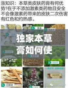 独家本草膏如何使用,独家本草膏有副作用吗