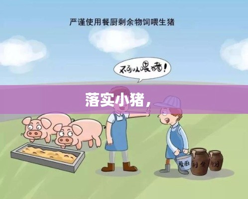 落实小猪,