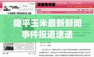 隆平玉米最新新闻事件报道速递