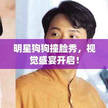 明星狗狗撞脸秀,视觉盛宴开启!