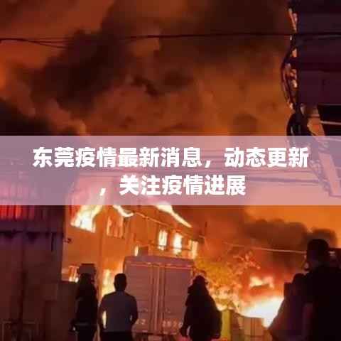 政策法规 第69页