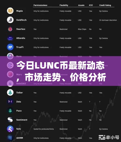 今日LUNC币最新动态,市场走势、价格分析及预测