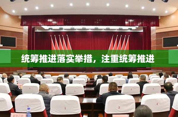 统筹推进落实举措,注重统筹推进