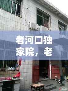 业绩展示 第63页