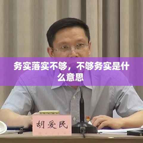务实落实不够,不够务实是什么意思