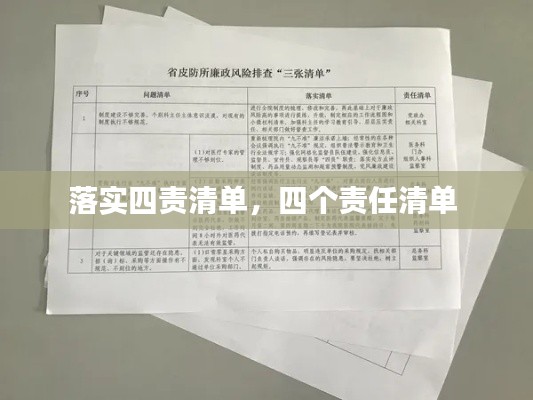 落实四责清单,四个责任清单