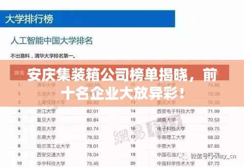 安庆集装箱公司榜单揭晓,前十名企业大放异彩!