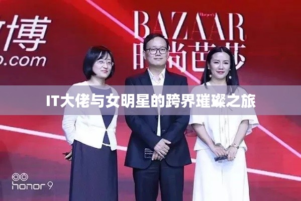 IT大佬与女明星的跨界璀璨之旅