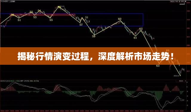 揭秘行情演变过程，深度解析市场走势！