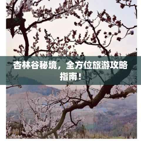 杏林谷秘境，全方位旅游攻略指南！