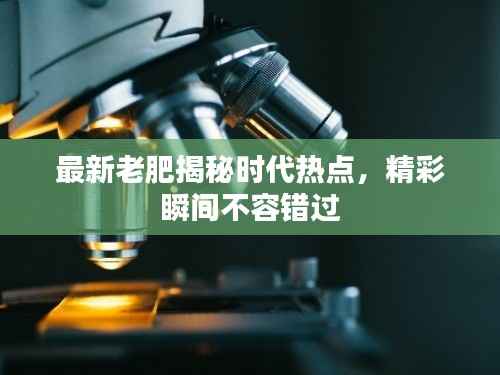 最新老肥揭秘时代热点，精彩瞬间不容错过