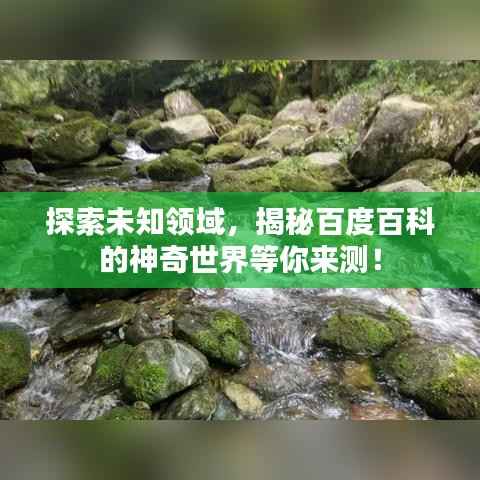 探索未知领域,揭秘百度百科的神奇世界等你来测!